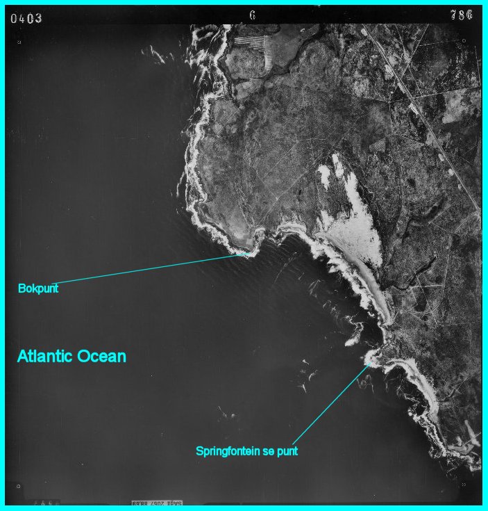 [03_786_6_0403b.jpg]